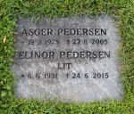 Asger  Pedersen.JPG